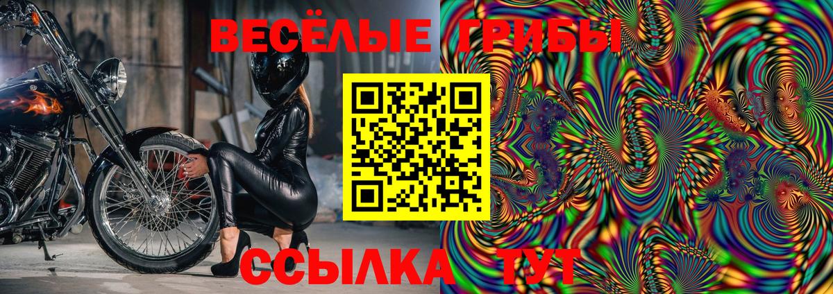 Псилоцибиновые грибы Psilocybe Свободный